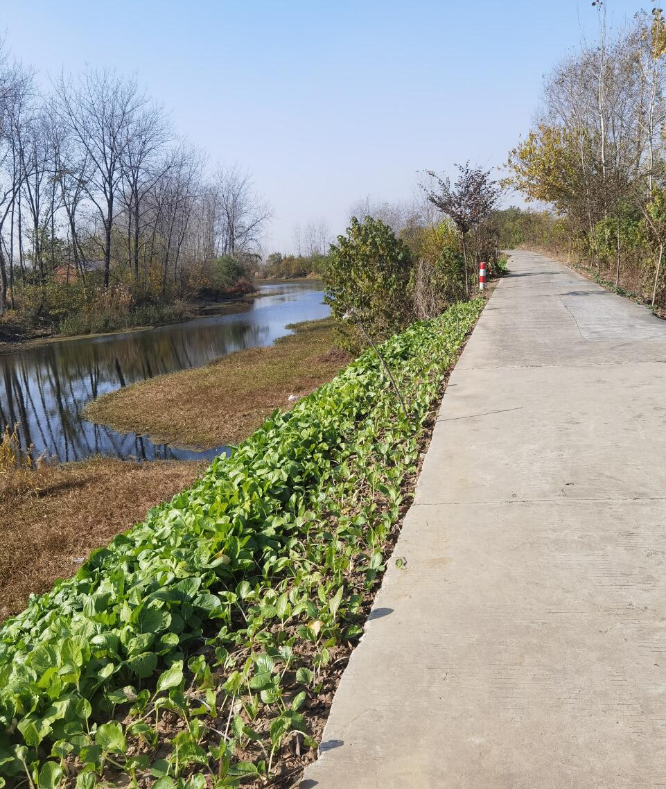 17032128216470.jpg QQ截圖20231222104003.jpg