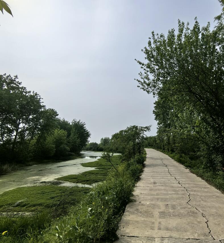 17137532784078.jpg 11111.jpg