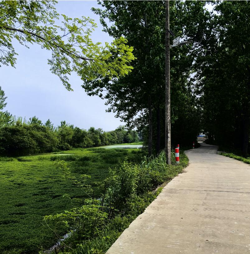 17137533019737.jpg 222222.jpg